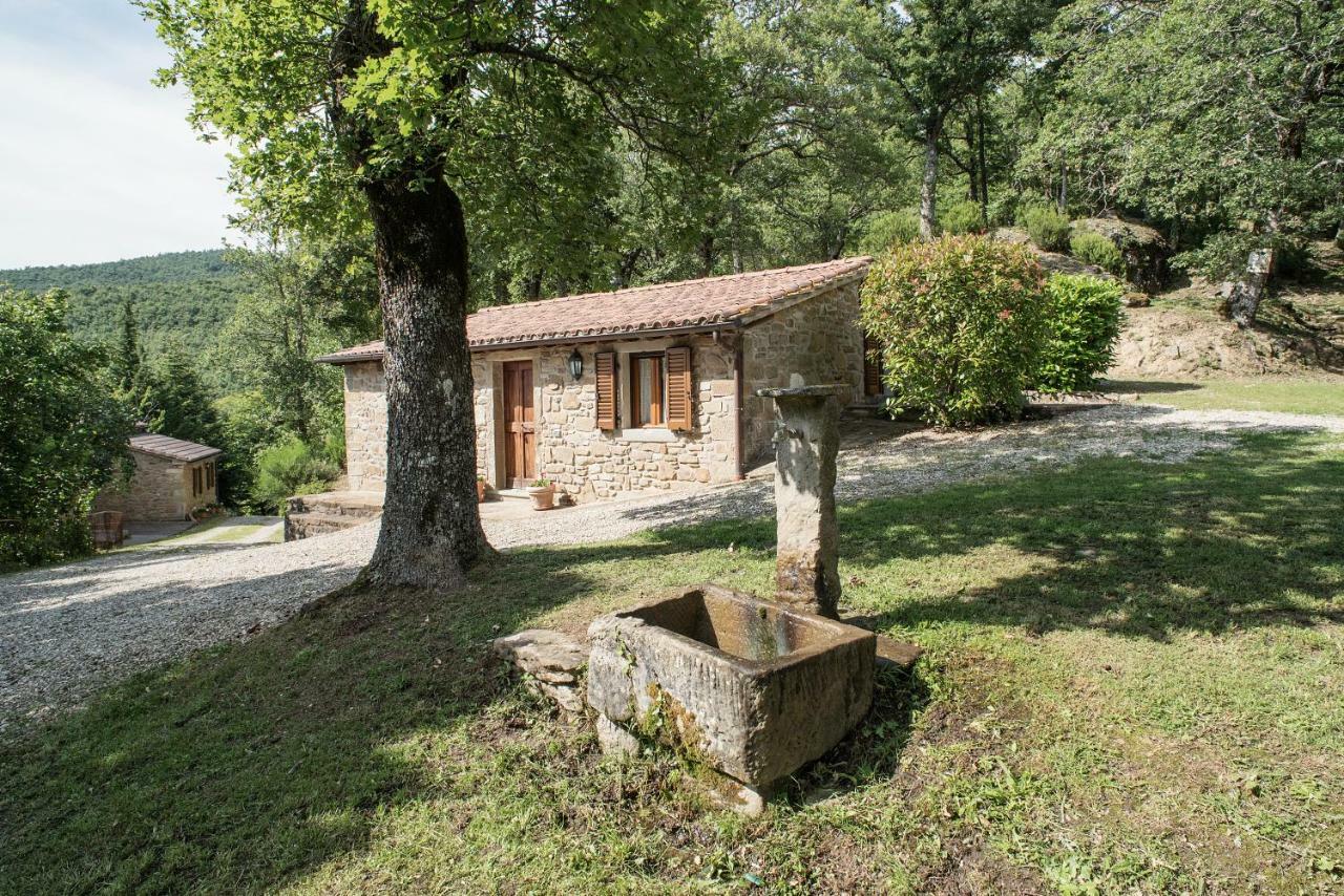 Casa Rancacci Hostal Mercatale  Exterior foto